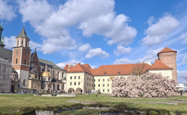 Cracovia Auschwhitz Zakopane